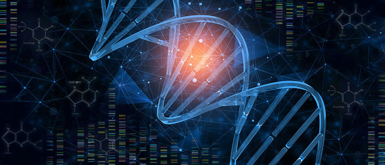 Imagem sobre Dados 2025